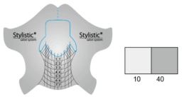 PALU STYLISTIC SZABLONY FORMY 100szt.