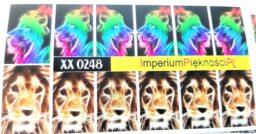 Naklejki – wodne, dzikie zwierzęta, lwy, lamparty, tygrysy i węże Copy