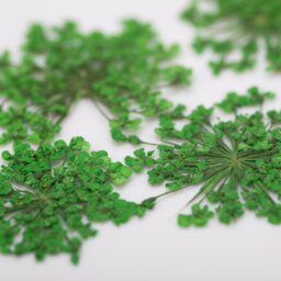 OZDOBA DO PAZNOKCI SUSZONE KWIATKI GREEN