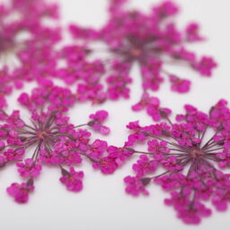 OZDOBA DO PAZNOKCI SUSZONE KWIATKI FUCHSIA