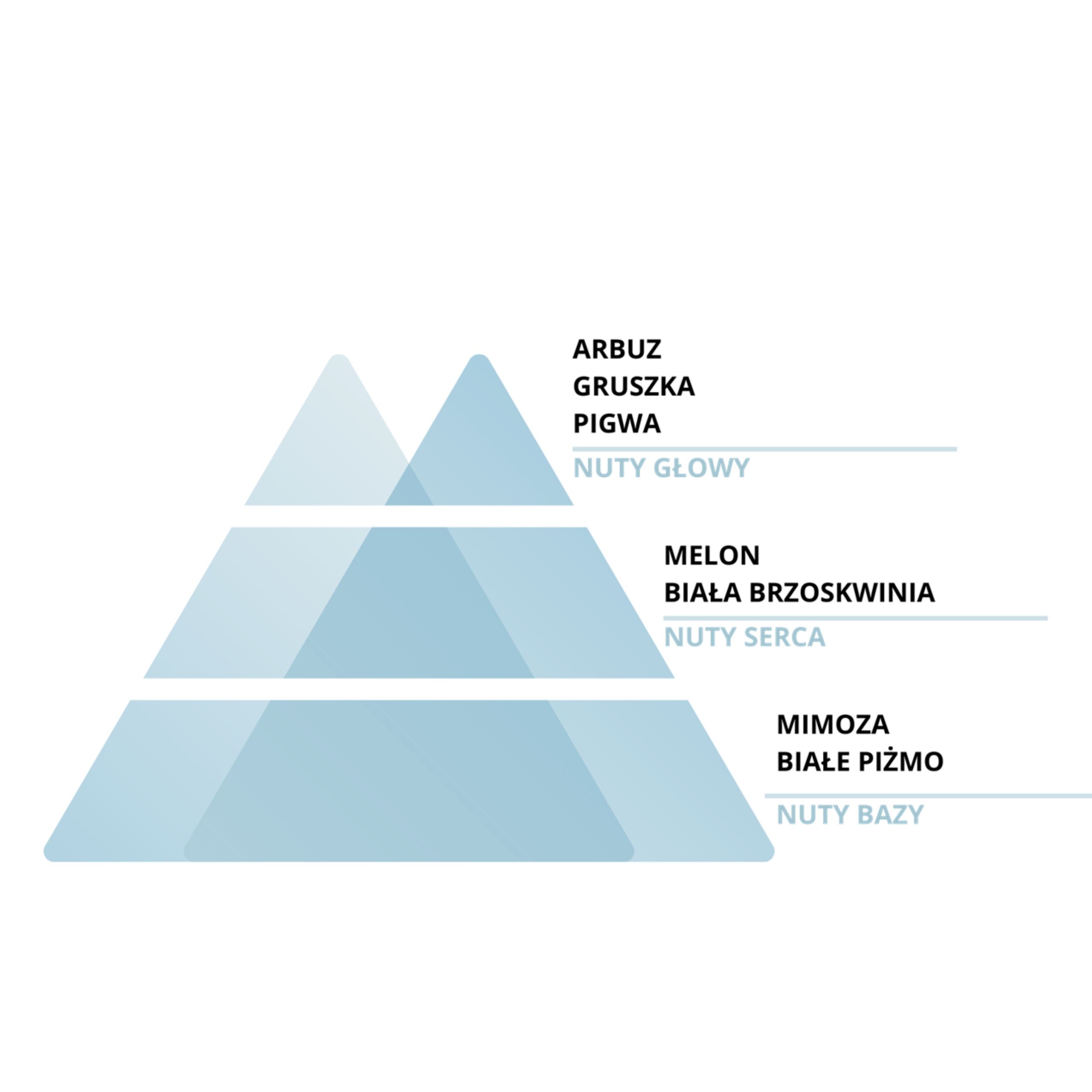 IS SENSORY SKIN REGENERUJĄCY KONCENTRAT KREM DO DŁONI I CIAŁA - PARADISE, 300ml - obrazek 2