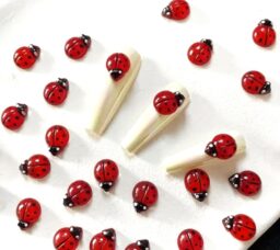 OZDOBY DO PAZNOKCI 3D MIX BIEDRONKA