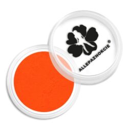 MM PYŁEK DO PAZNOKCI SMOKE NAILS EFEKT DYMU NEON ORANGE NR 05