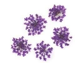 OZDOBA DO PAZNOKCI SUSZONE KWIATKI PURPLE