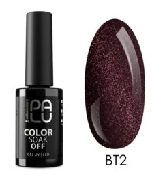 PALU LAKIER HYBRYDOWY 6ml BT2 BUDAPEST CAT EYE